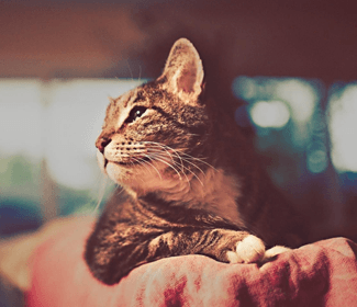 學習CAD!每天五個小技巧!這個系列趕快收藏!