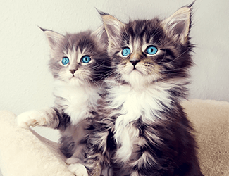 測(cè)繪CAD丨批量標(biāo)注坐標(biāo)，你不需要嗎？